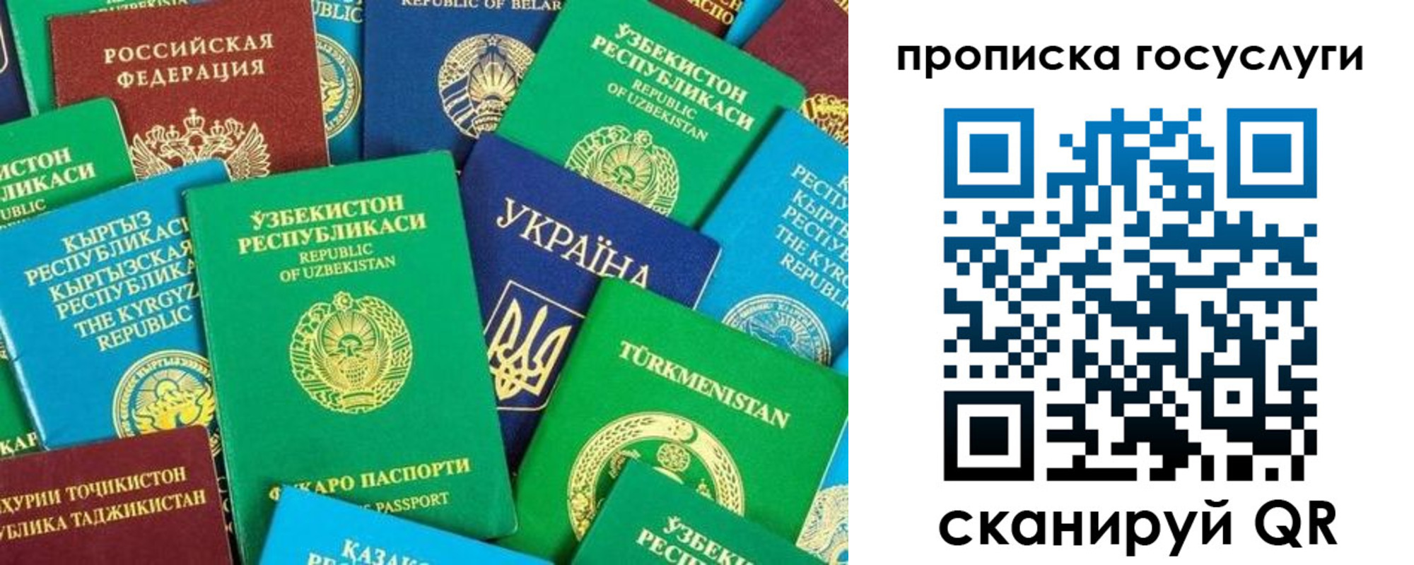 временная регистрация для всех в Биробиджане